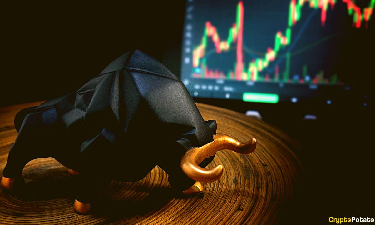 Crypto Market Still in Bull Cycle But There Are Worrying Signs: CryptoQuant