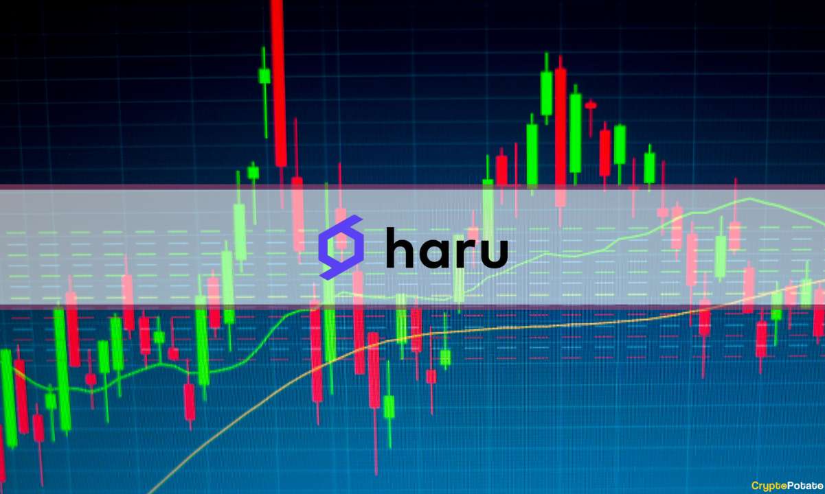 haru_invest_cover