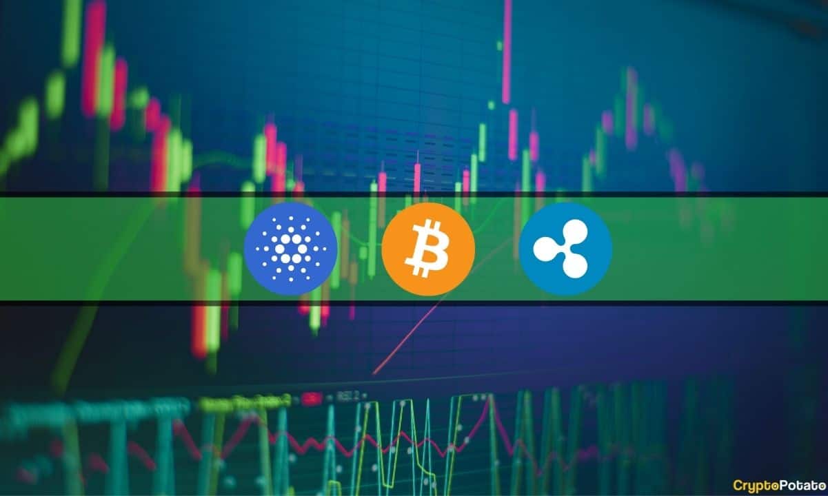 ADA, SOL, SHIB Recover 8% Following Saturday’s Crash, XRP Reclaims $0.5 (Weekend Watch)