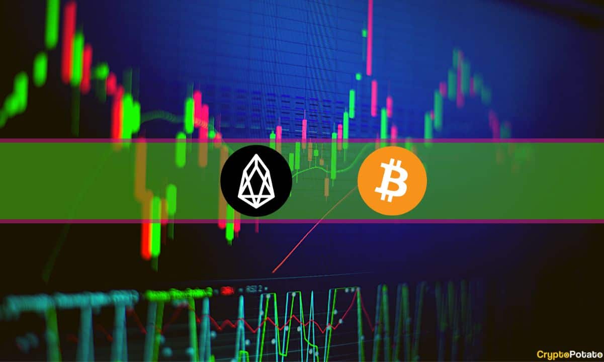 EOS Soars 8% While Bitcoin Marked 18-Day Low: Weekend Watch