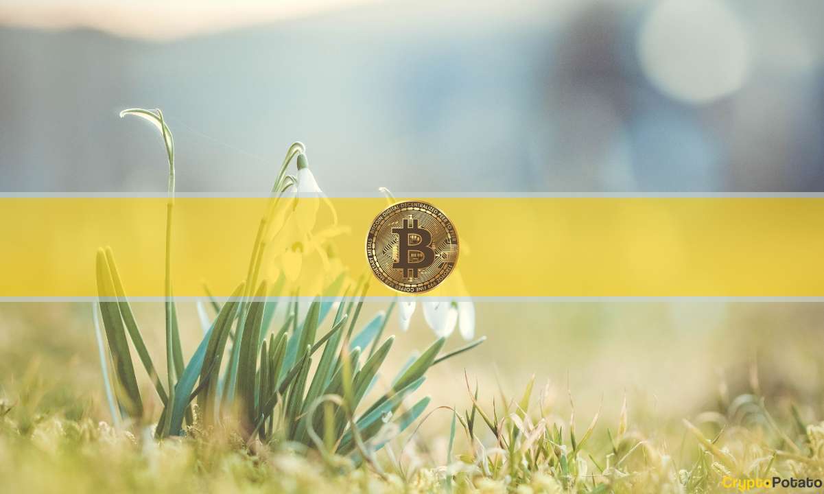 spring_bitcoin_cover