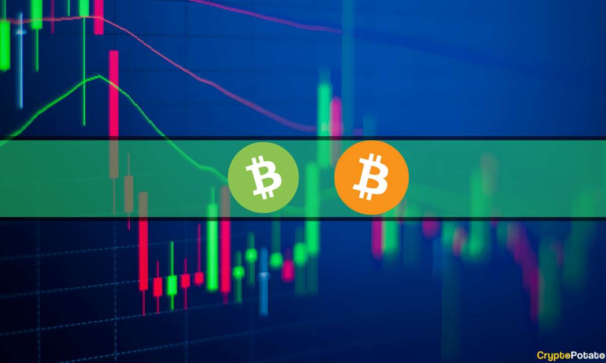 Bitcoin Cash Explodes 100% Weekly as BTC Looks for Direction (Market Watch)