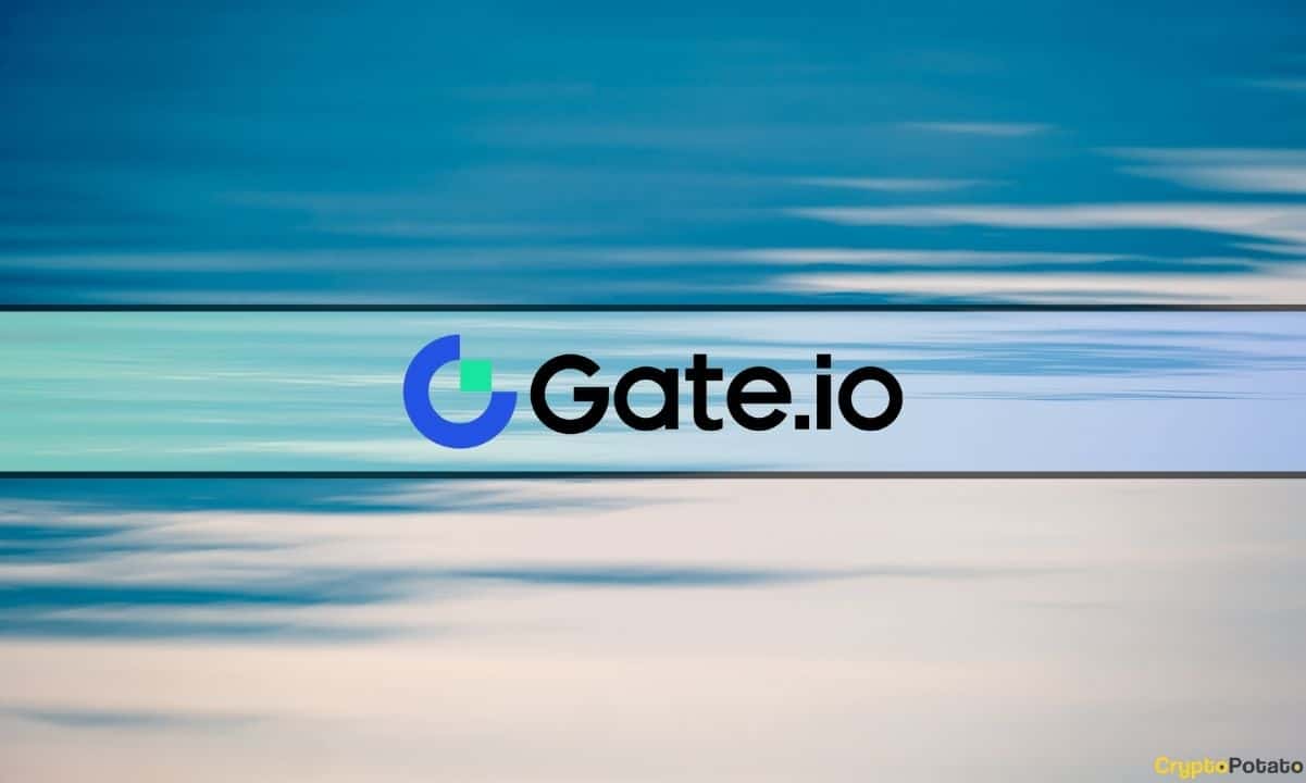 Gate.io شایعات مربوط به نابودی خود را در میان شکست چند زنجیره ای رد می کند
