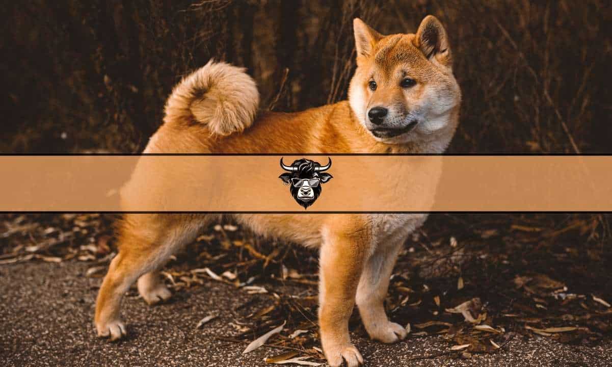 Shiba Inu Price Showing Bullish Momentum: Can it Continue? Wall Street Memes Token is Also Pumping