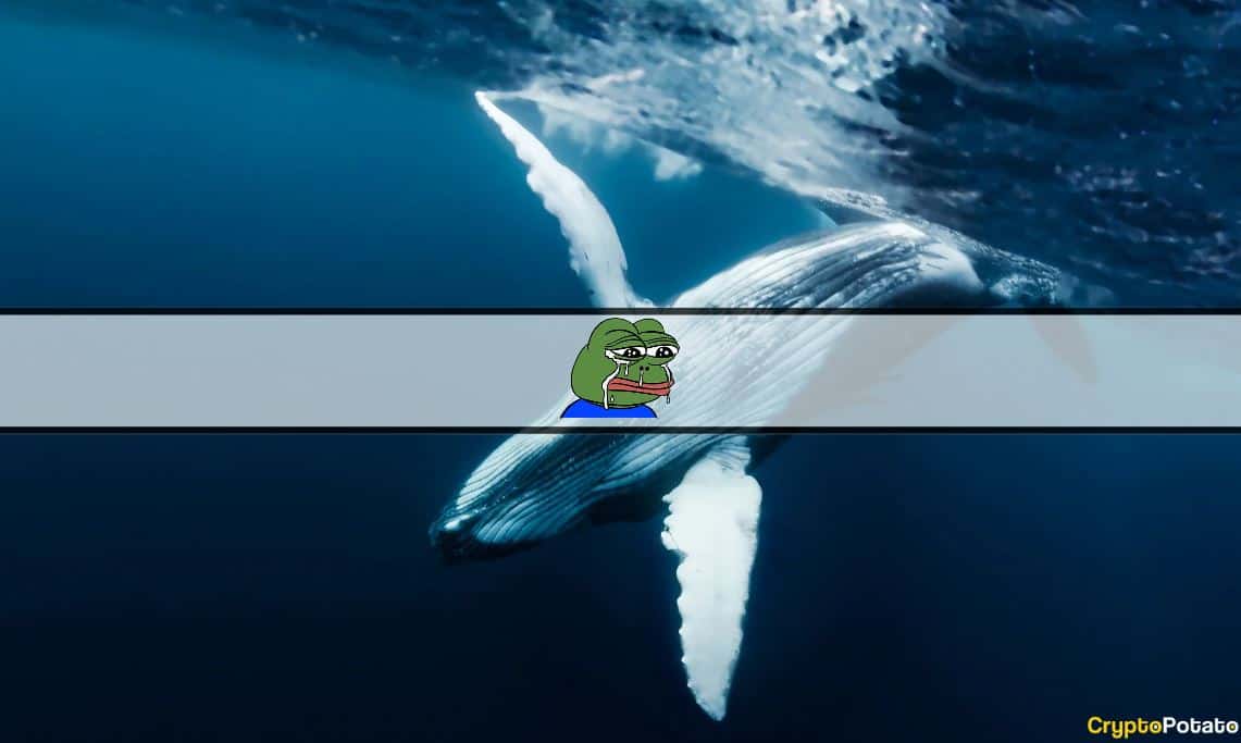 PEPE Whales Selling at Huge Losses as Meme Coins Continue Bleeding