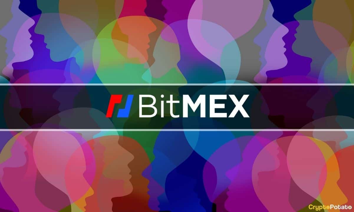 bitmex social