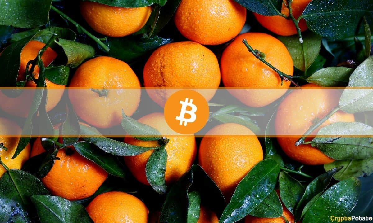 Orange Prices Are Up Since 2020 by About as Much as Bitcoin