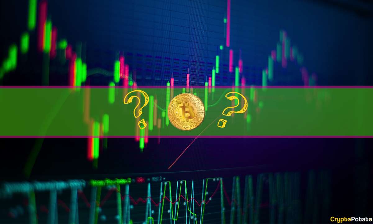 Bitcoin Flatlines Below K But These Altcoins Have it Worse (Market Watch)