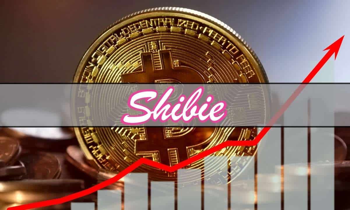 Bitcoin Price Bounces, Shibie Coin Presale Passes $200,000 Milestone – Risk On For Meme Tokens?