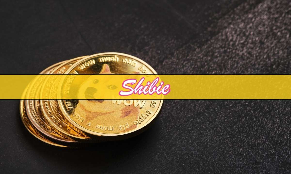 How $10k in Dogecoin Could Have Made You a Crypto Millionaire – Could Shibie Coin Explode Next?