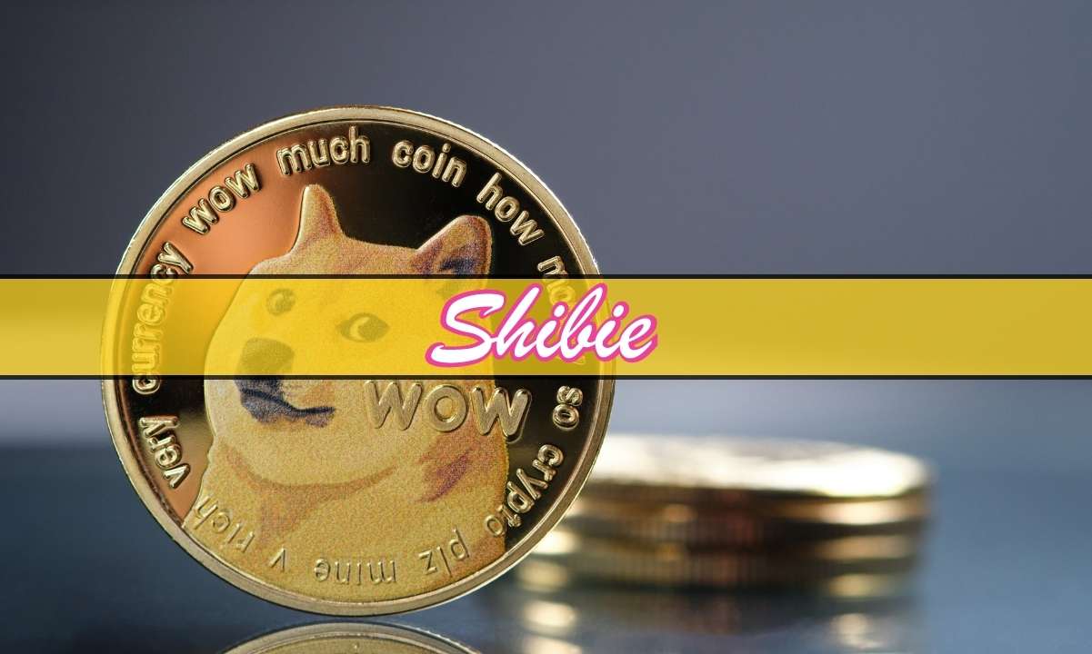 As Dogecoin and Pepe Prices Slide, Could New Meme Coin Shibie Token Be an Alternative?