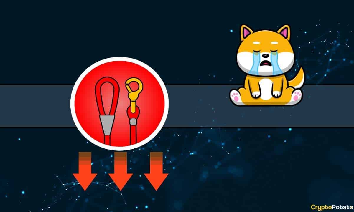 Shiba Inu’s LEASH Token Plunges on Underwhelming Announcement, But There’s More