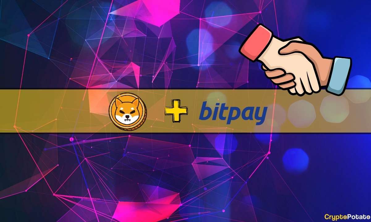 Shiba Inu Price Soars 10% Daily: Could This Be The Reason?