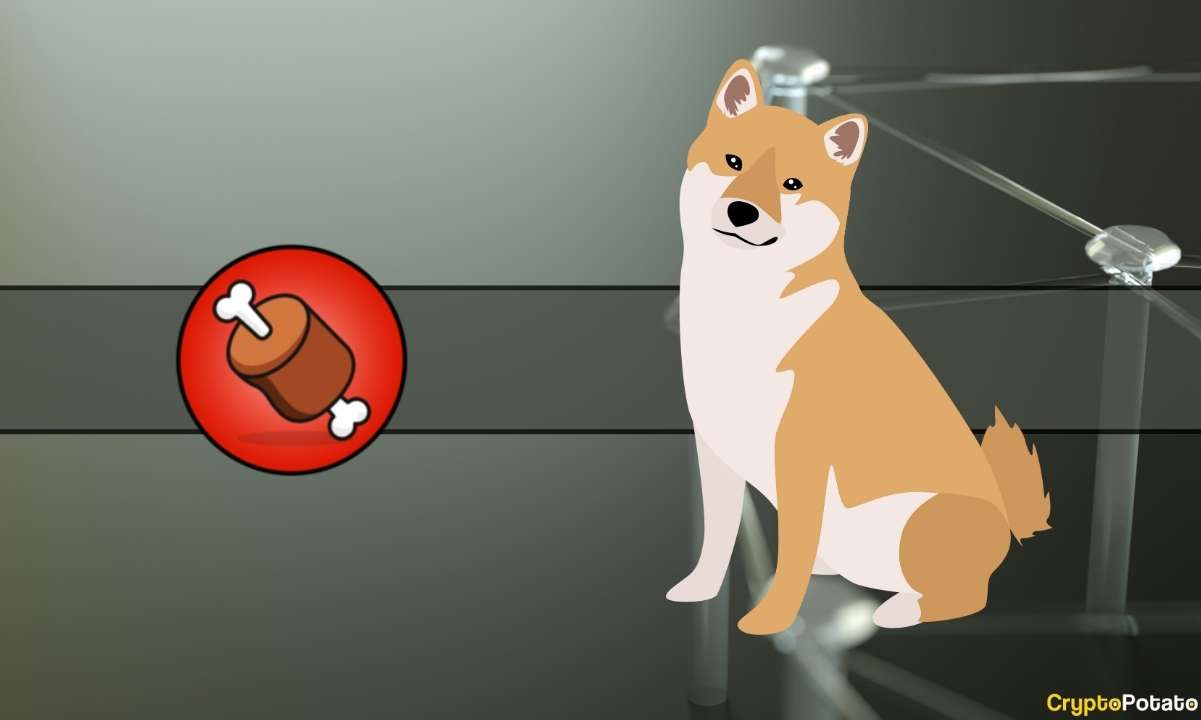 Here’s How Much BONE is Currently Staked According to Shiba Inu Official