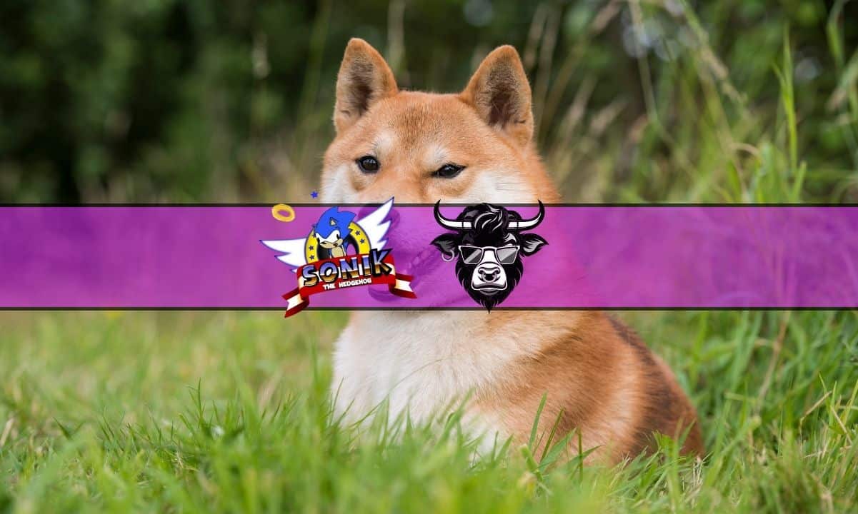 Will the Shiba Inu Price Recover After Tanking Over 20%? Wall Street Memes Emerges as Alternative with  Million Raised