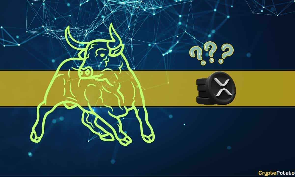 how-high-can-ripple-xrp-go-during-the-next-bull-market