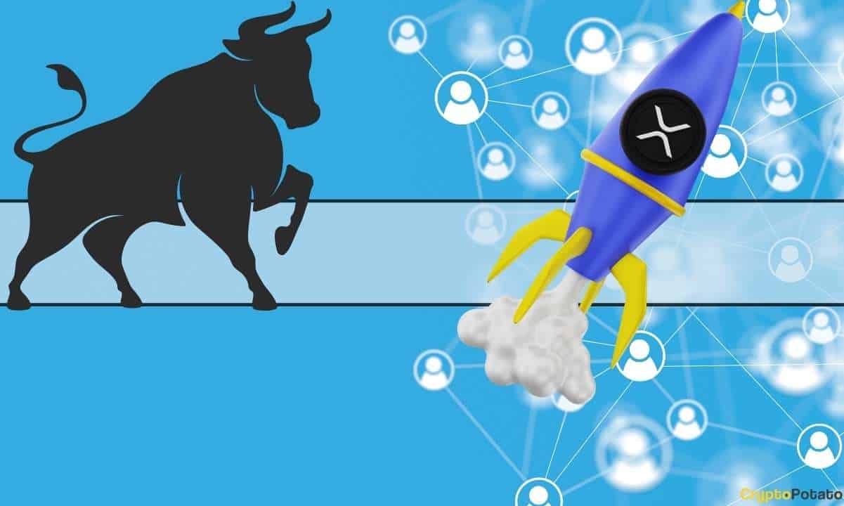 XRP Price During Next Bull Market: 3 Things to Keep an Eye Out For
