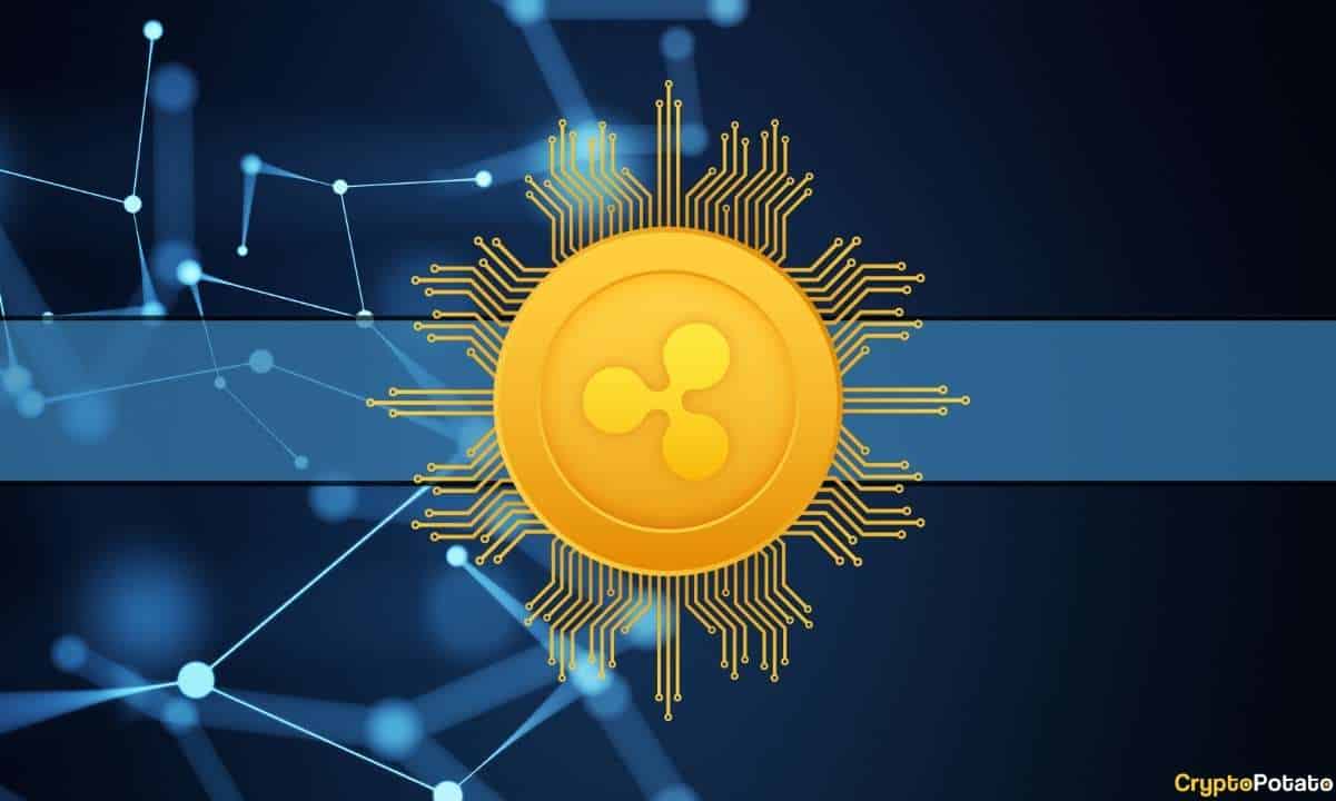 Why is the XRP Price Crashing and When Will it Recover?