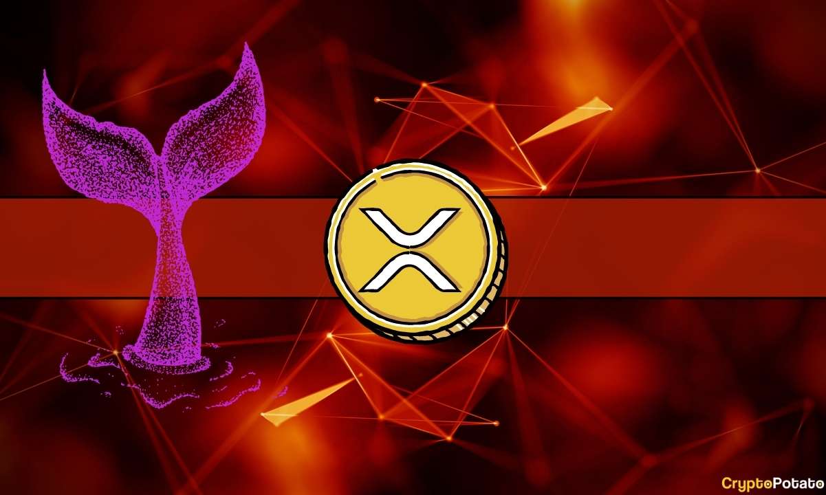 Could This Significant Ripple (XRP) Purchase Set the Stage for Potential Price Surge?