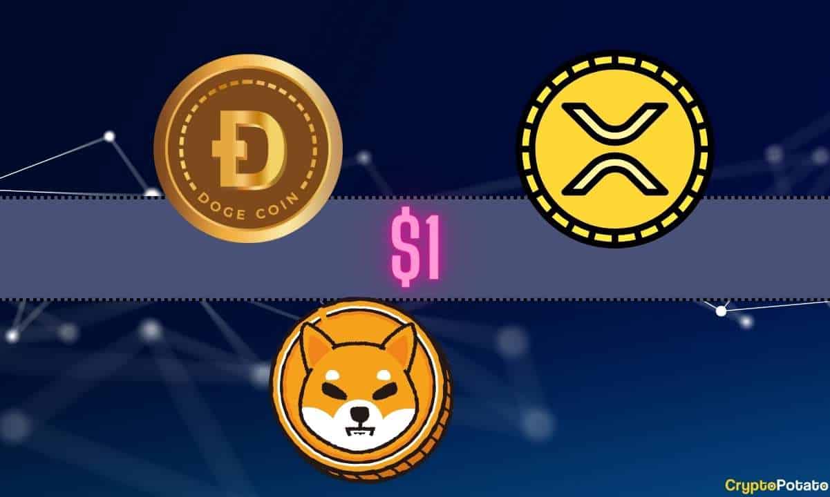 which-cryptocurrency-will-reach-usd1-first-ripple-xrp-shiba-inu-shib-or-dogecoin-doge