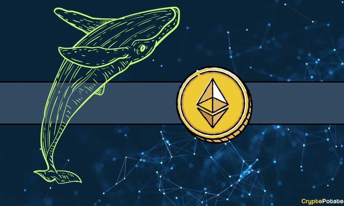 Is the Bottom In for Ethereum? Whales Accumulate Millions Worth of ETH