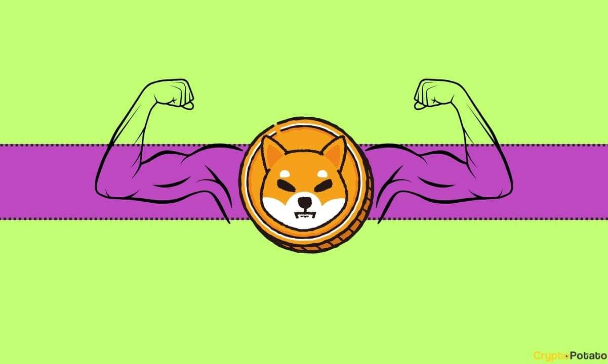 5 Upcoming Developments to Watch For as Shiba Inu Gears for Advancement