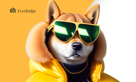 Shiba Inu and Ripple Price Outlook: New Altcoin Everlodge Continues Upward Price Rise