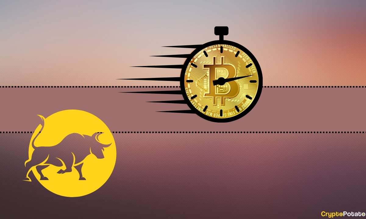bitcoin_bull_time_cb