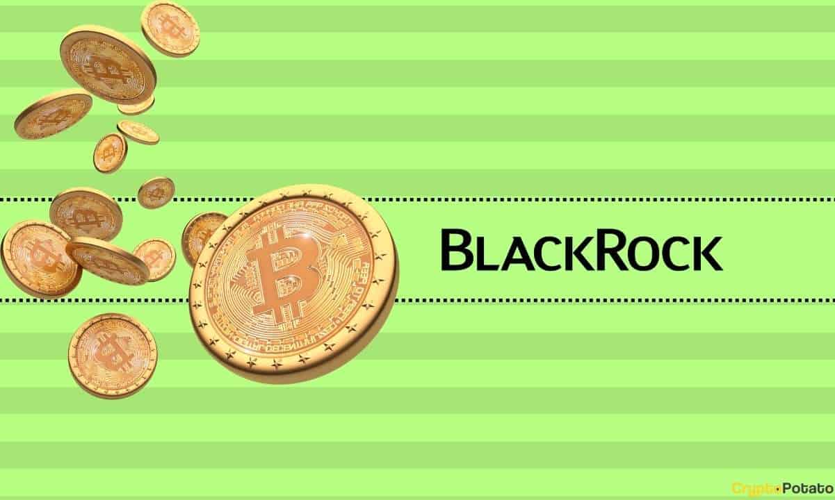 BlackRock CEO Larry Fink Shares Thoughts on a Bitcoin (BTC): Bull Run Ahead?