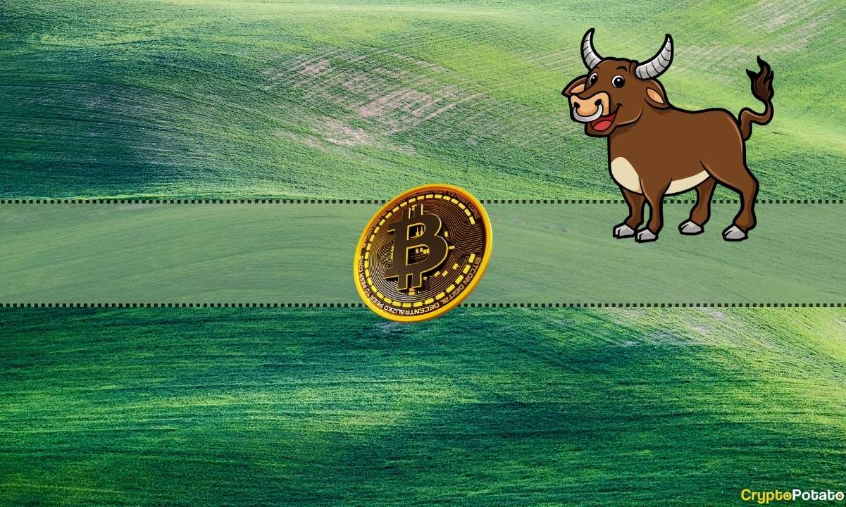 Here’s How High BTC Can Go Pre-Halving: Analyst With Bullish Bitcoin Price Prediction
