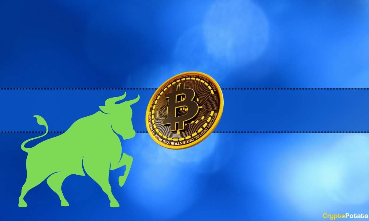 This Bitcoin Metric Plummets to a 5-Year Low But Is It Bullish?