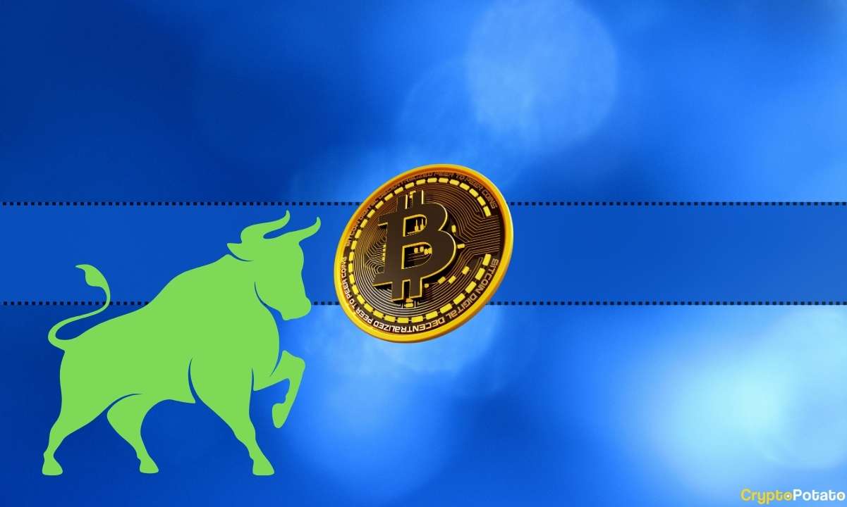 btc_bull_price_cb