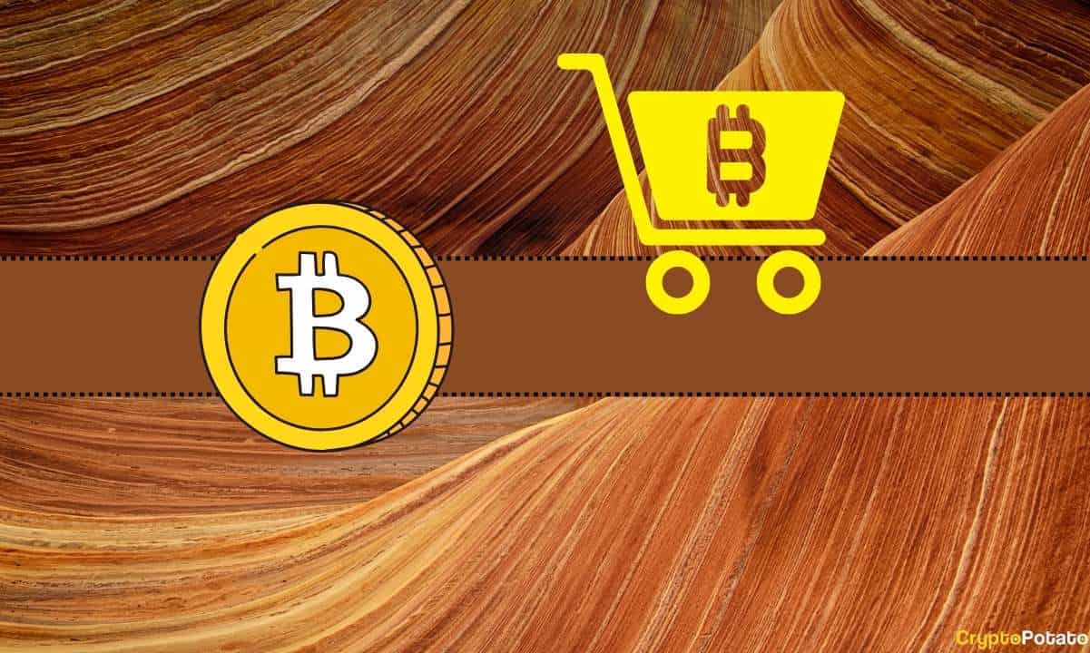 Will Bitcoin (BTC) Crash on Thanksgiving? Analyst Weighs in on Buying the Potential Dip