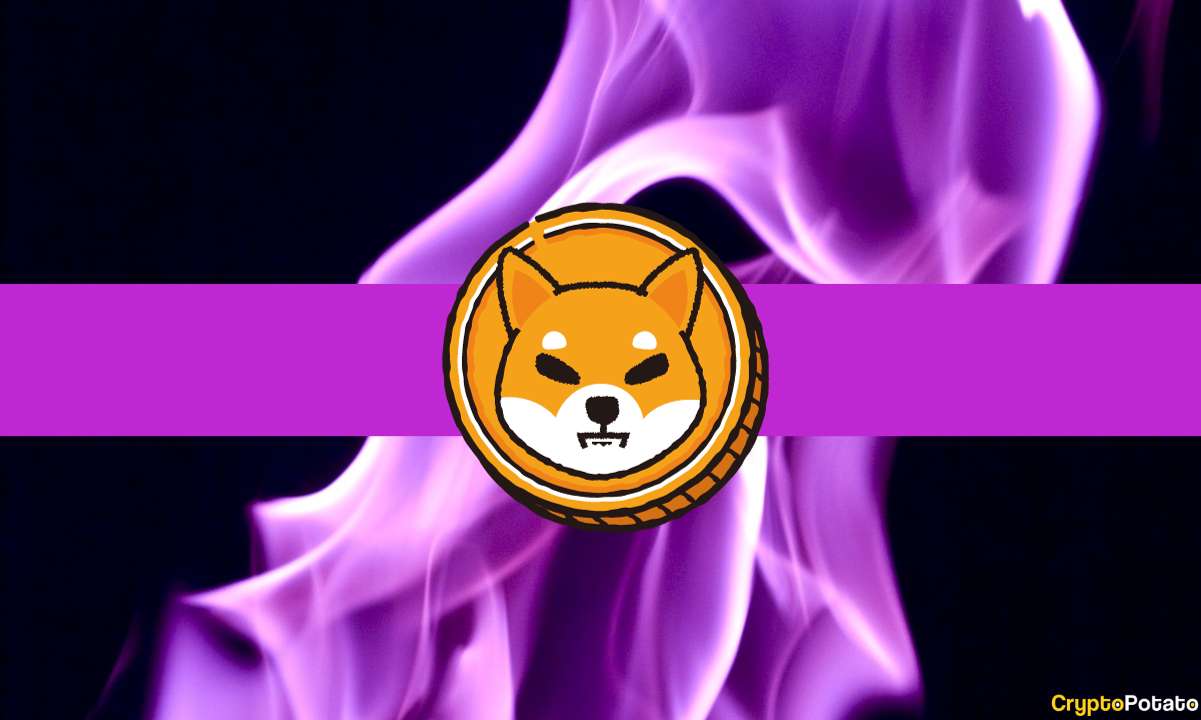 Shiba Inu Burn Rate Explodes 1,300%, What Does it Mean for SHIB’s Price?