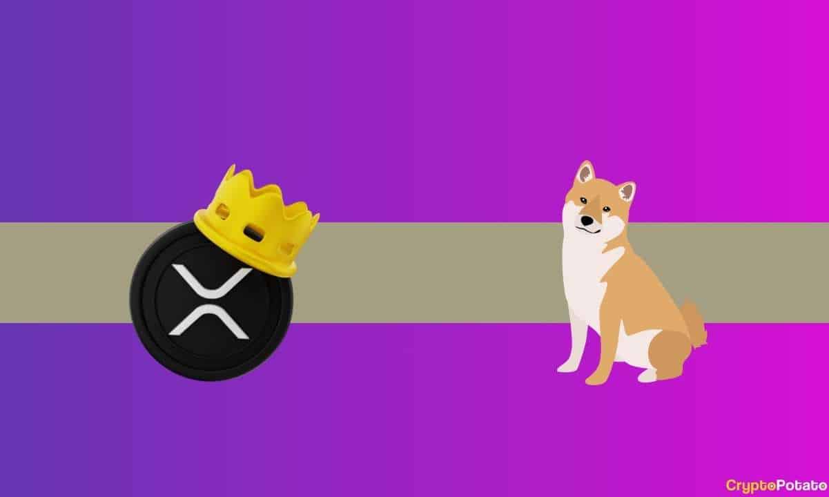 Ripple (XRP) and Shiba Inu (SHIB) Bulletins From This In style Crypto Substitute thumbnail
