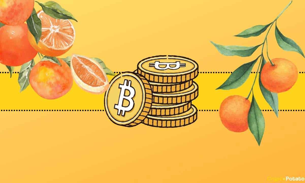 Very Curious Bitcoin Price Correlation with an Unexpected Fruit Markets