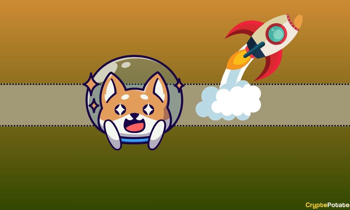 BONK Price Hits a New ATH, Outperforming Shiba Inu (SHIB) and Dogecoin (DOGE)