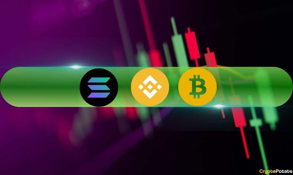 BNB Takes Back 4th Place From SOL With 12% Surge, BSV Explodes 60% (Market Watch)