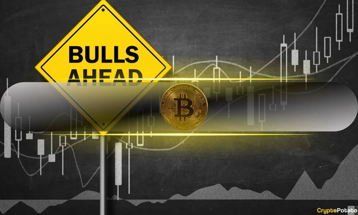 Bitcoin’s 15% Correction Propelled by Profit-Taking but Bull Cycle Is Far From Over: CryptoQuant