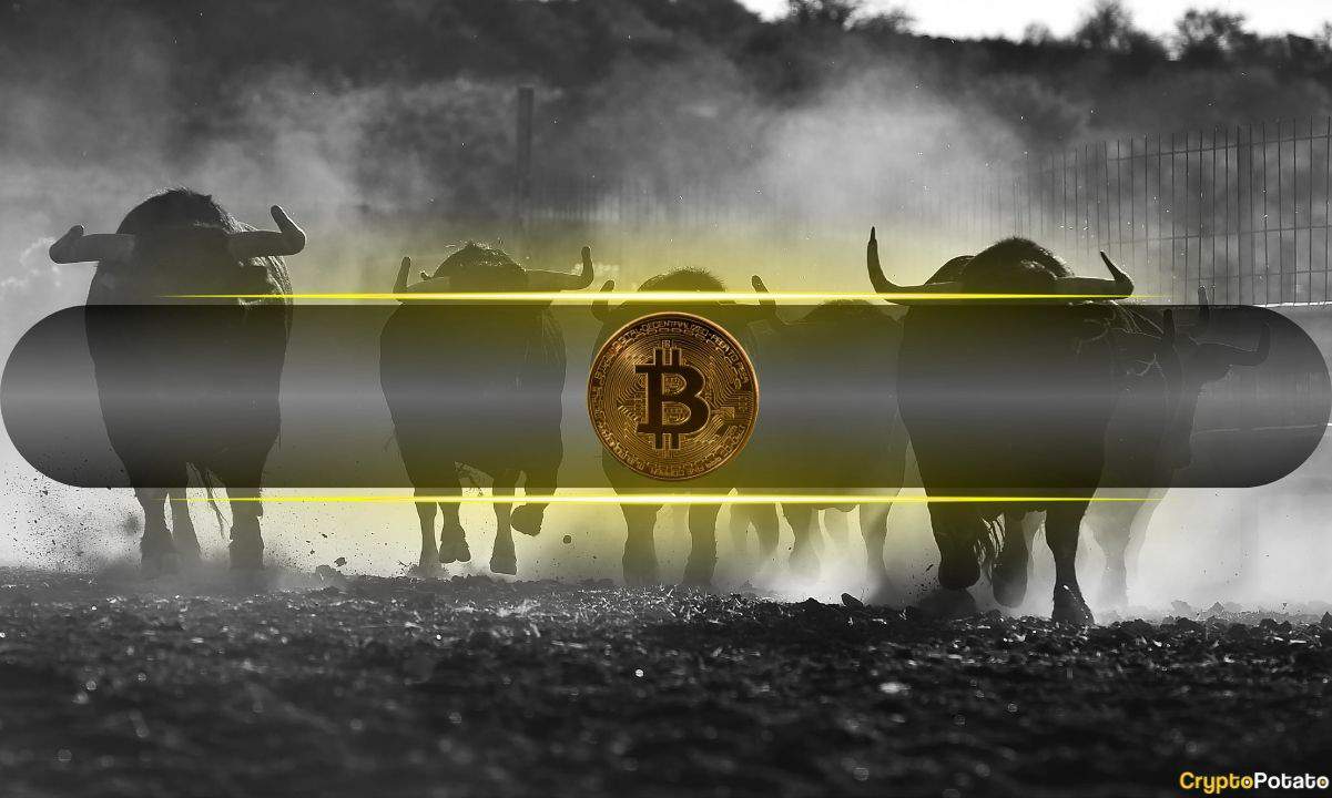 Bitcoin Bulls