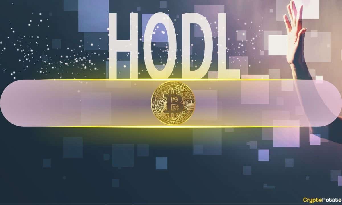 Breaking Down Bitcoin’s Historical Trends: The Power of 2-3 Year HODLing