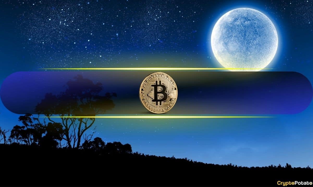 Next Bull Market Predictions: Bitget Study Forecasts Bitcoin Prices Exceeding 0,000
