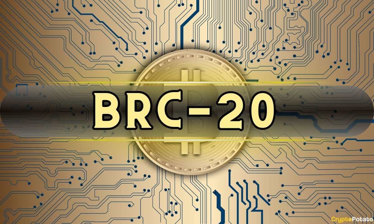 BRC-20 Token Trading Volume Skyrockets 10x Since November 2023, Kaiko Reports