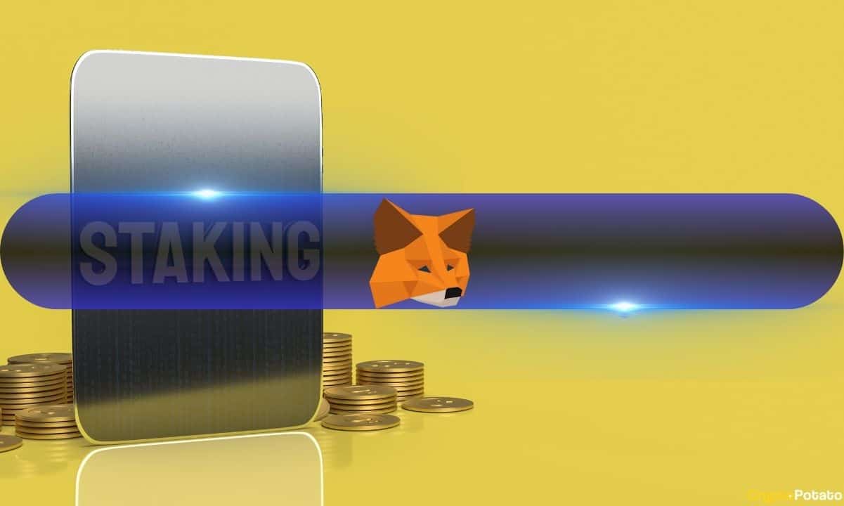 MetaMask Launches Staking Nodes on Behalf of Users, Albeit at a Steep Price