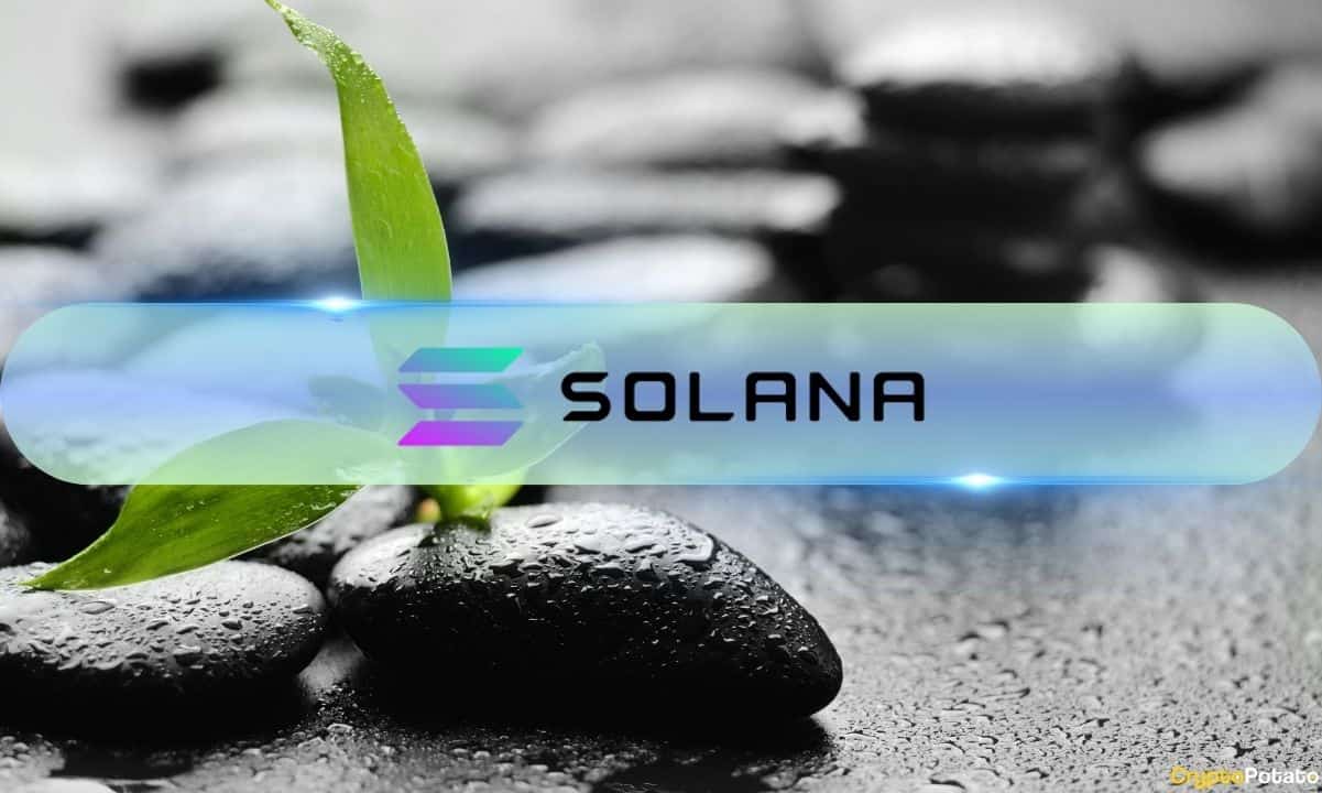 Solana Growth