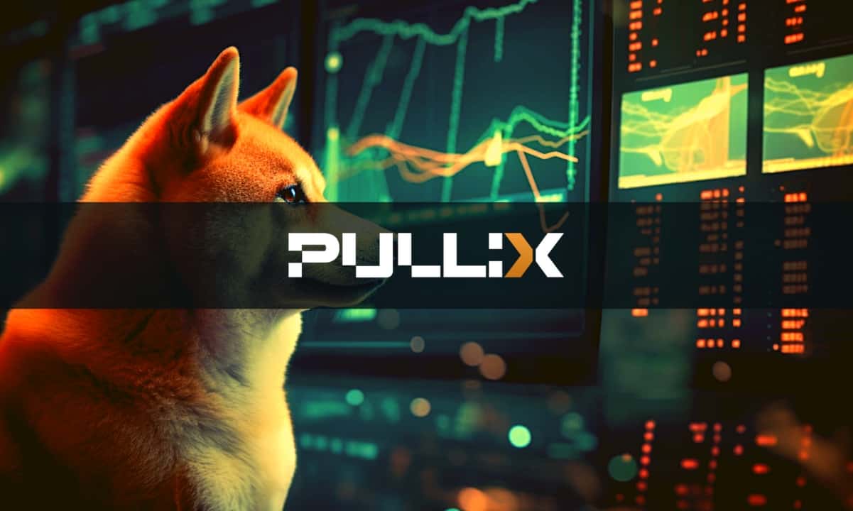 Dogecoin (DOGE) and Shiba Inu (SHIB) Lose Momentum As Pullix (PLX) Attracts Attention