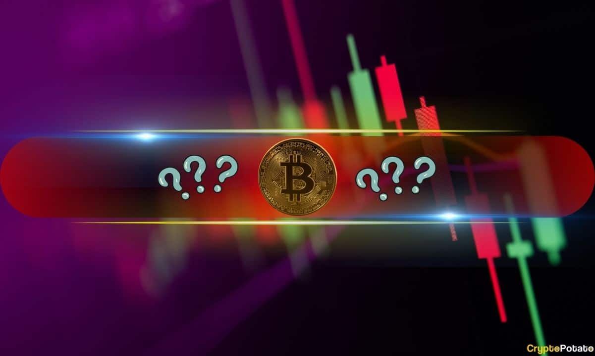 These Altcoins Bleed Out as Bitcoin (BTC) Price Fell by $4K in Hours (Weekend Watch)