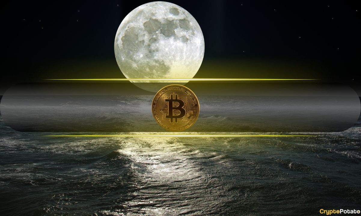 Bitcoin moon high