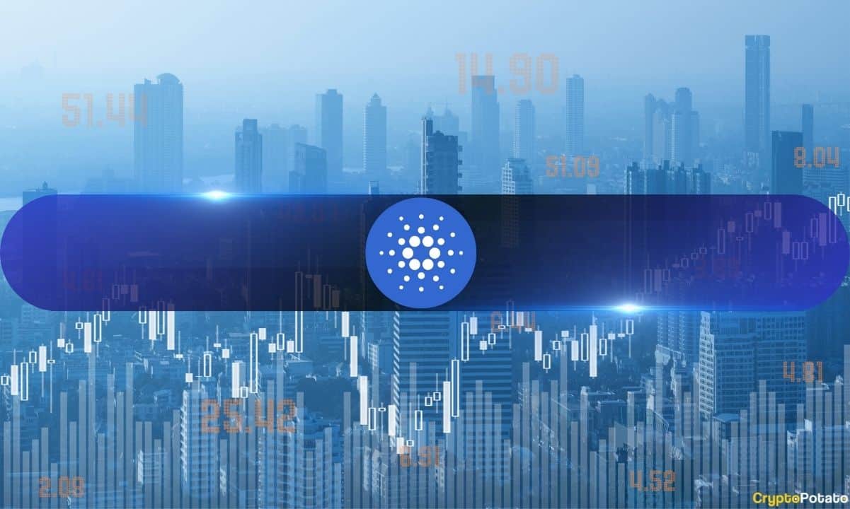 Cardano Foundation Releases 2023 Financial Report, Unveils Expenses Across 3 Major Areas