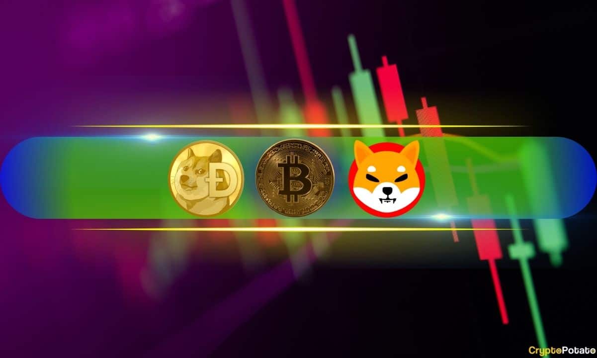 DOGE, SHIB, PEPE Among Top Performers Daily, BTC Rises to $63K (Weekend Watch)